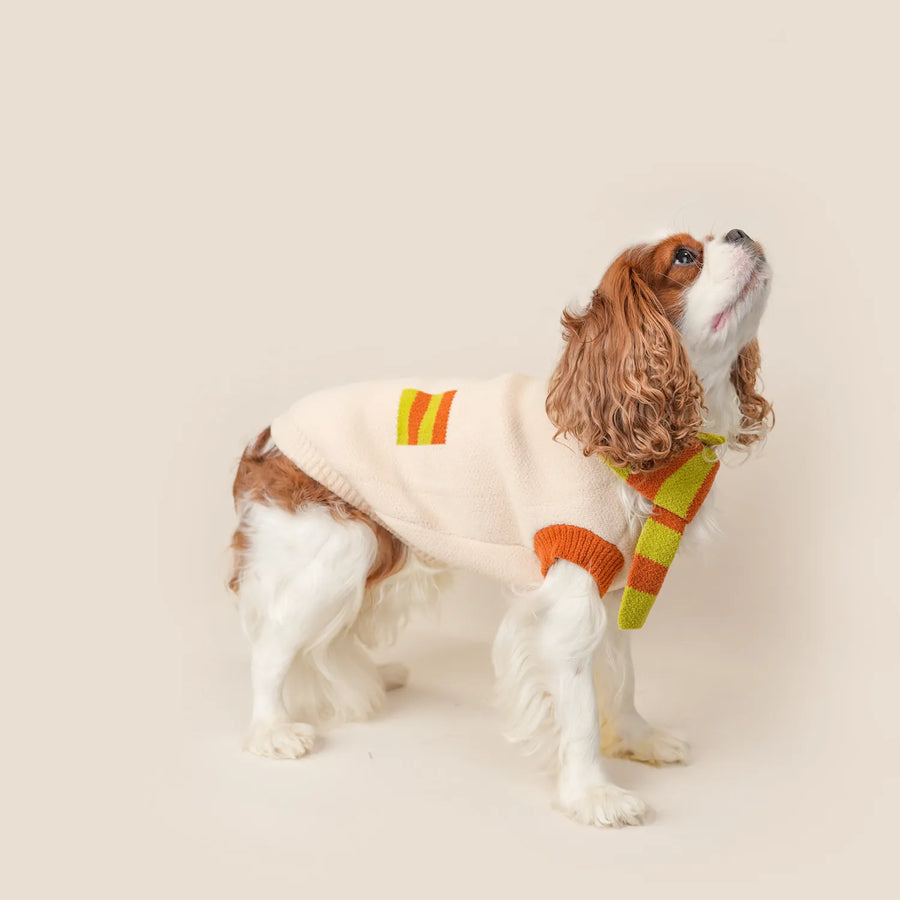 Cozy Knit Dog Sweater & Scarf Set