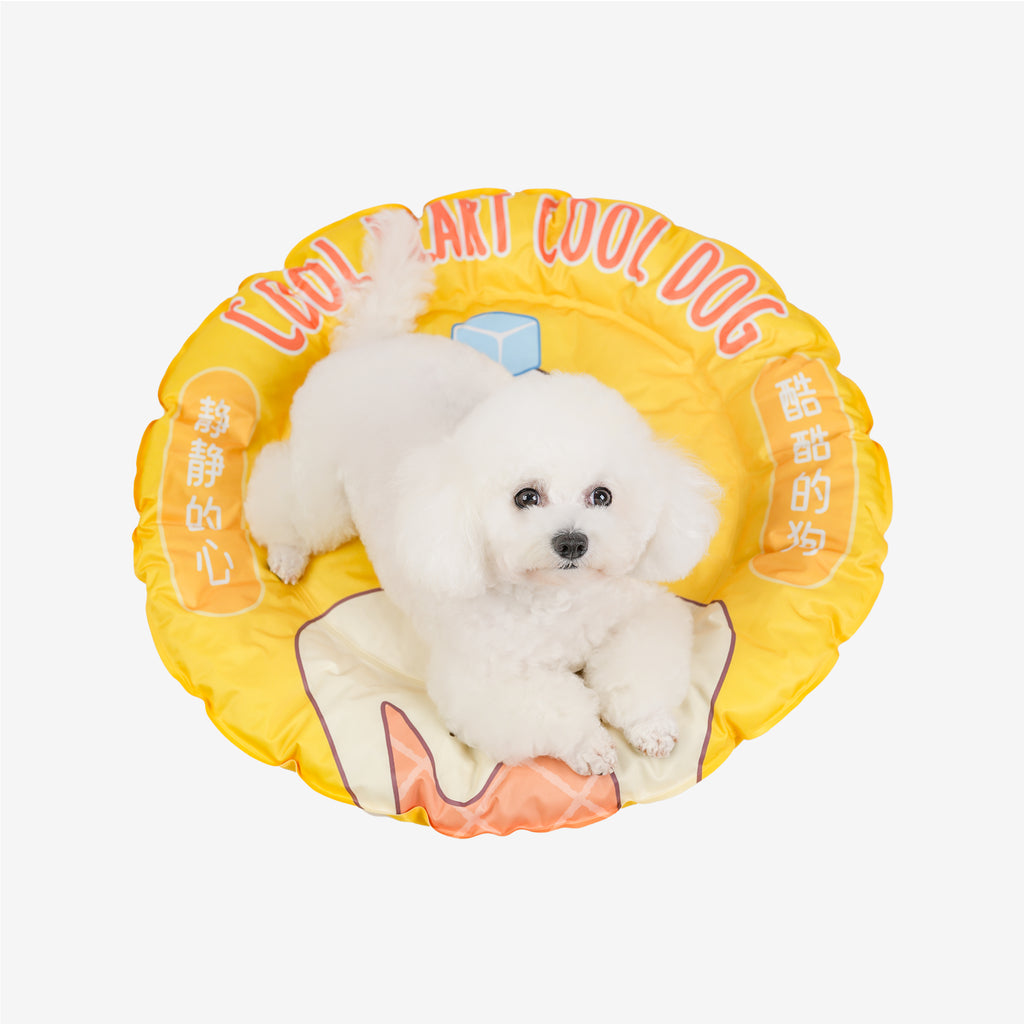 Small white dog in a yellow donut cooling bed