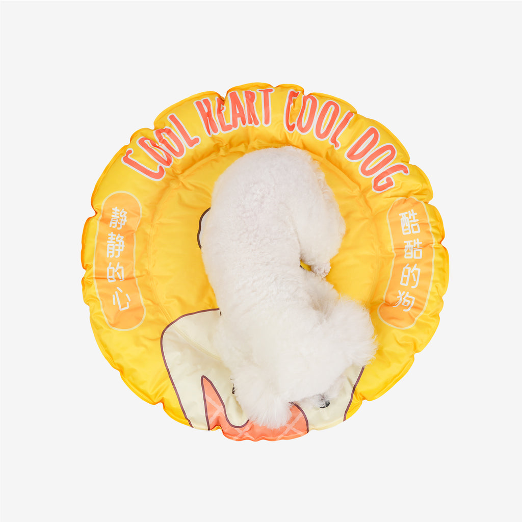 White dog resting in the donut cooling bed