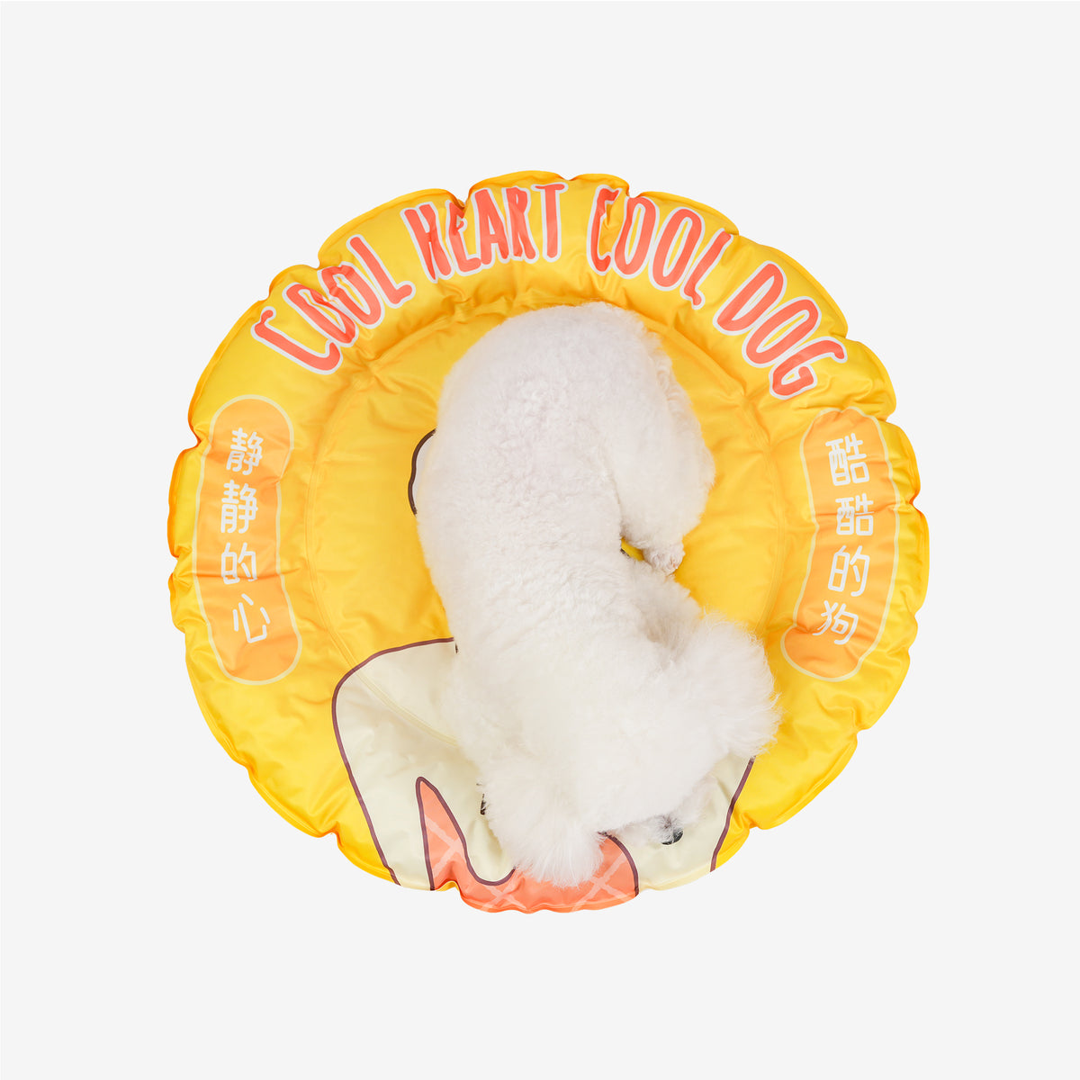 White dog resting in the donut cooling bed