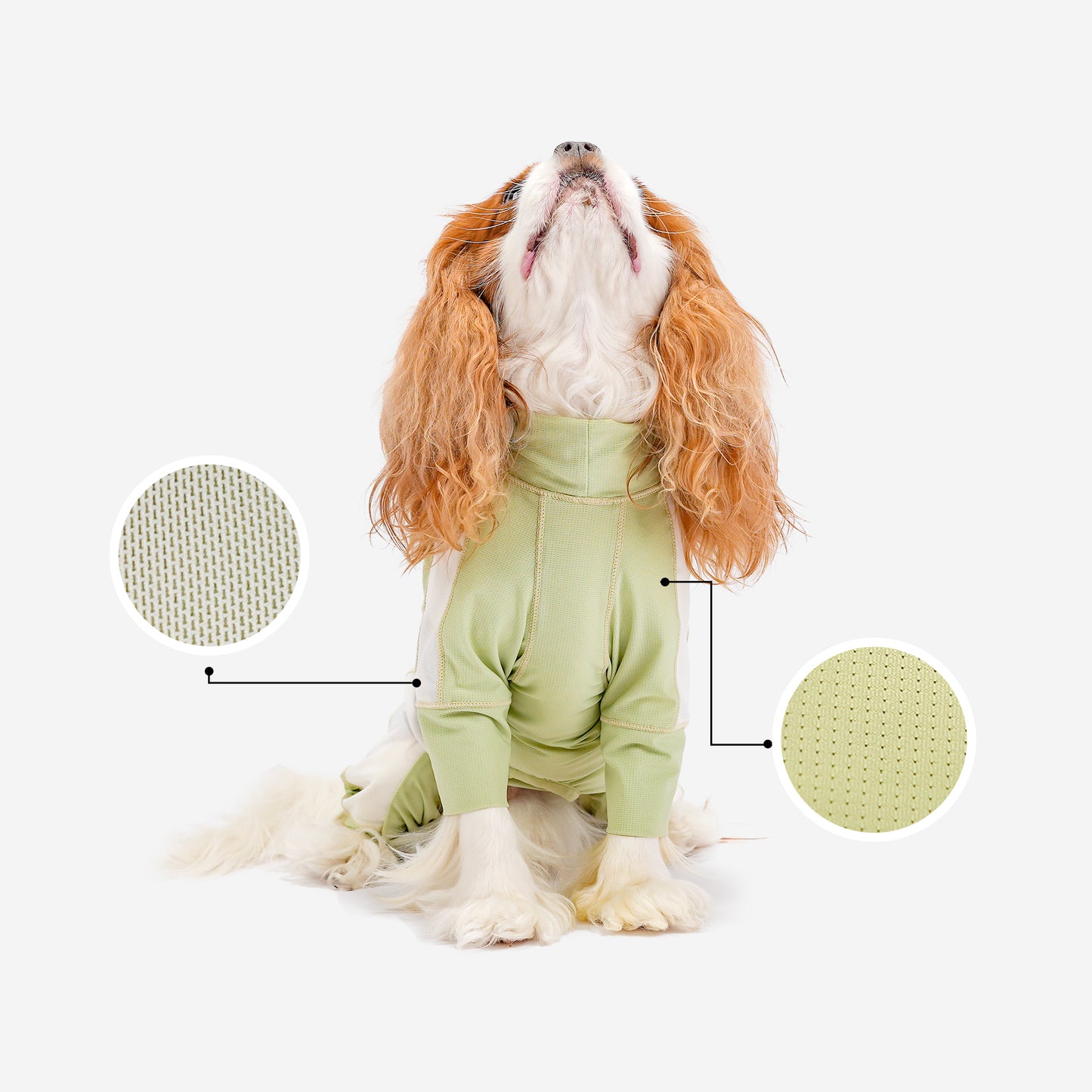 Sun Protection + Insect Repellent + Antibacterial – Your Dog’s Must-Have for the Hot Season!