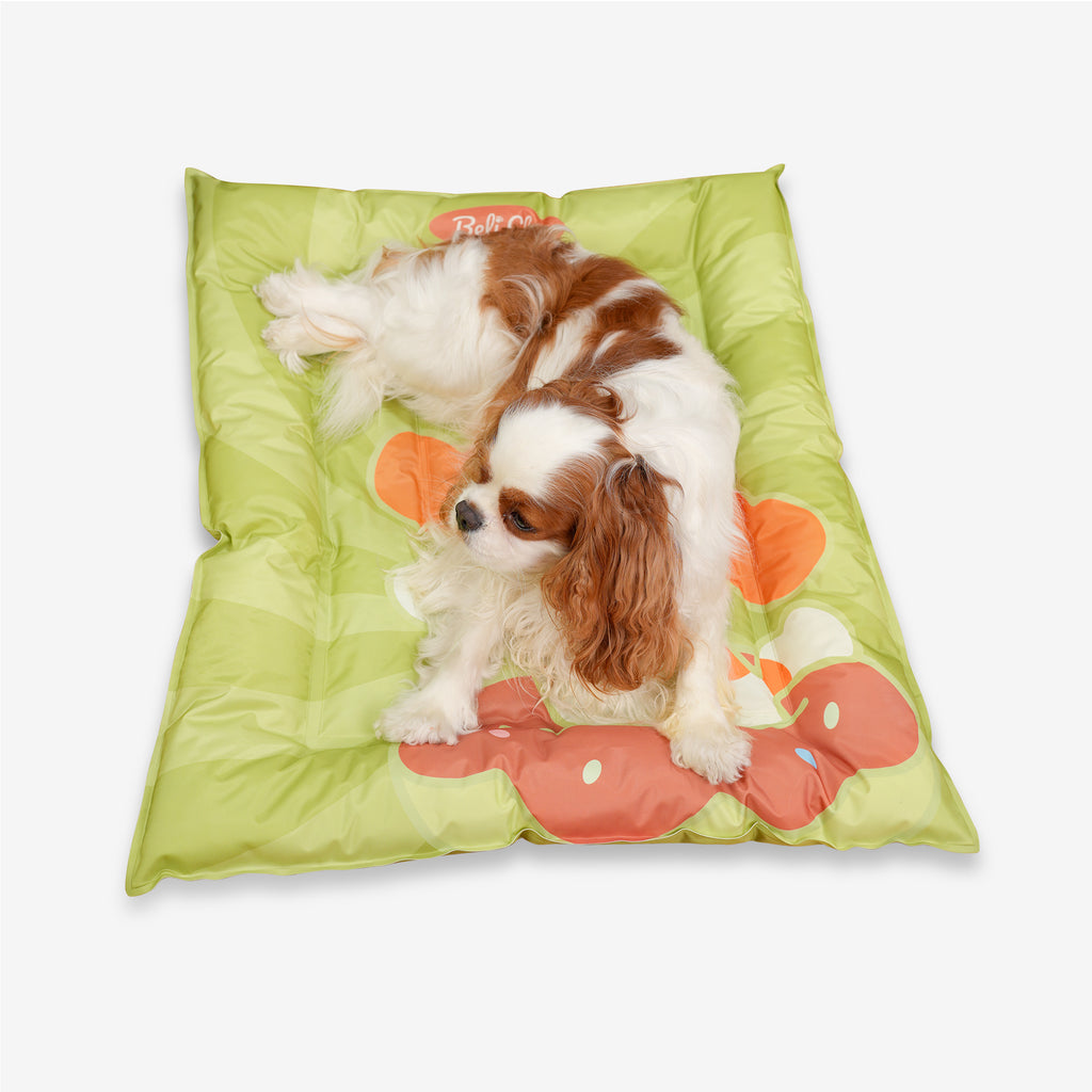 Spaniel lying on the green cooling dog bed