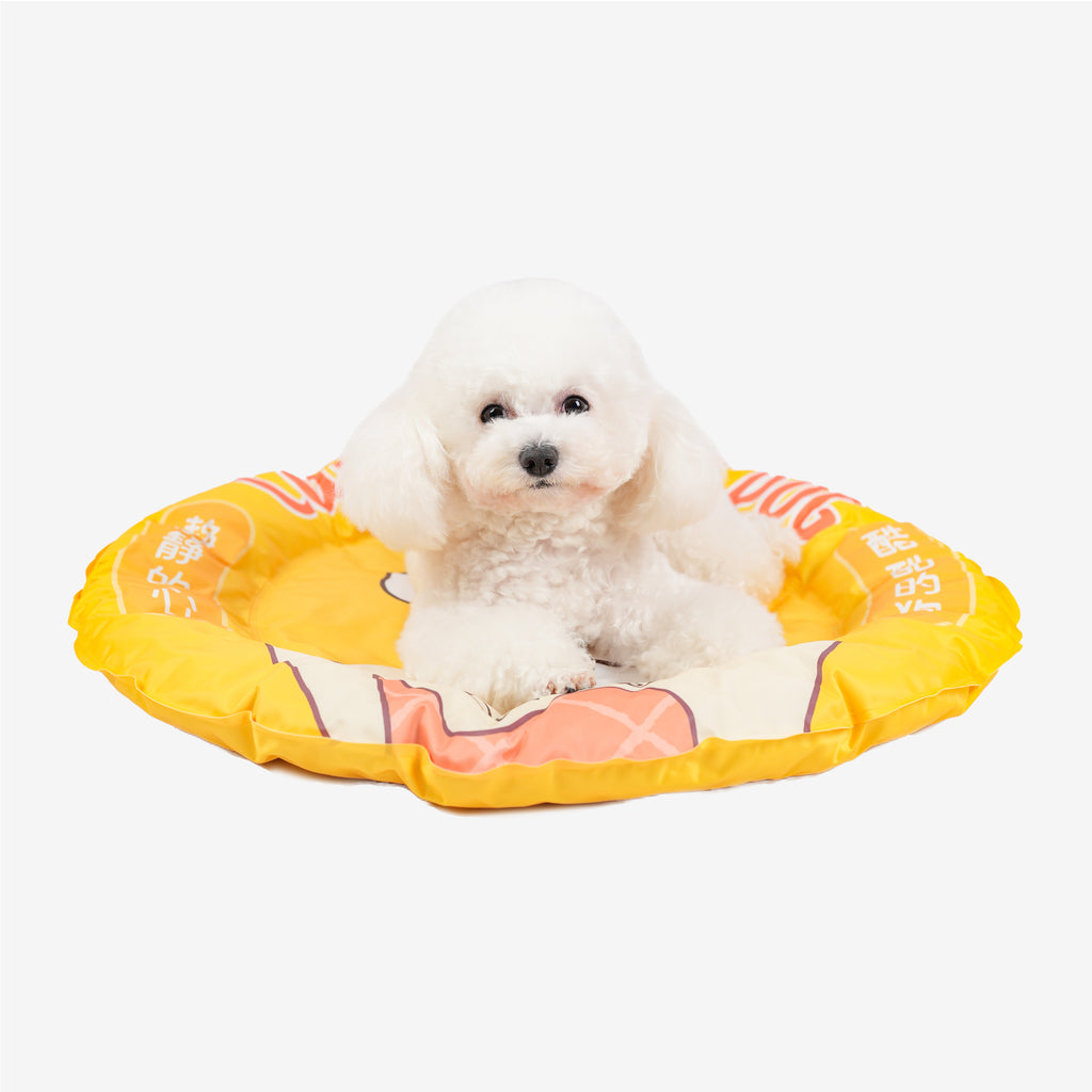 White dog seated in the donut cooling bed