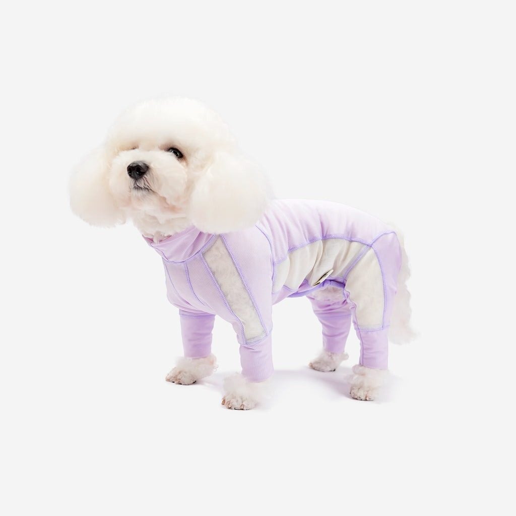 White dog wearing a lavender mesh jumpsuit