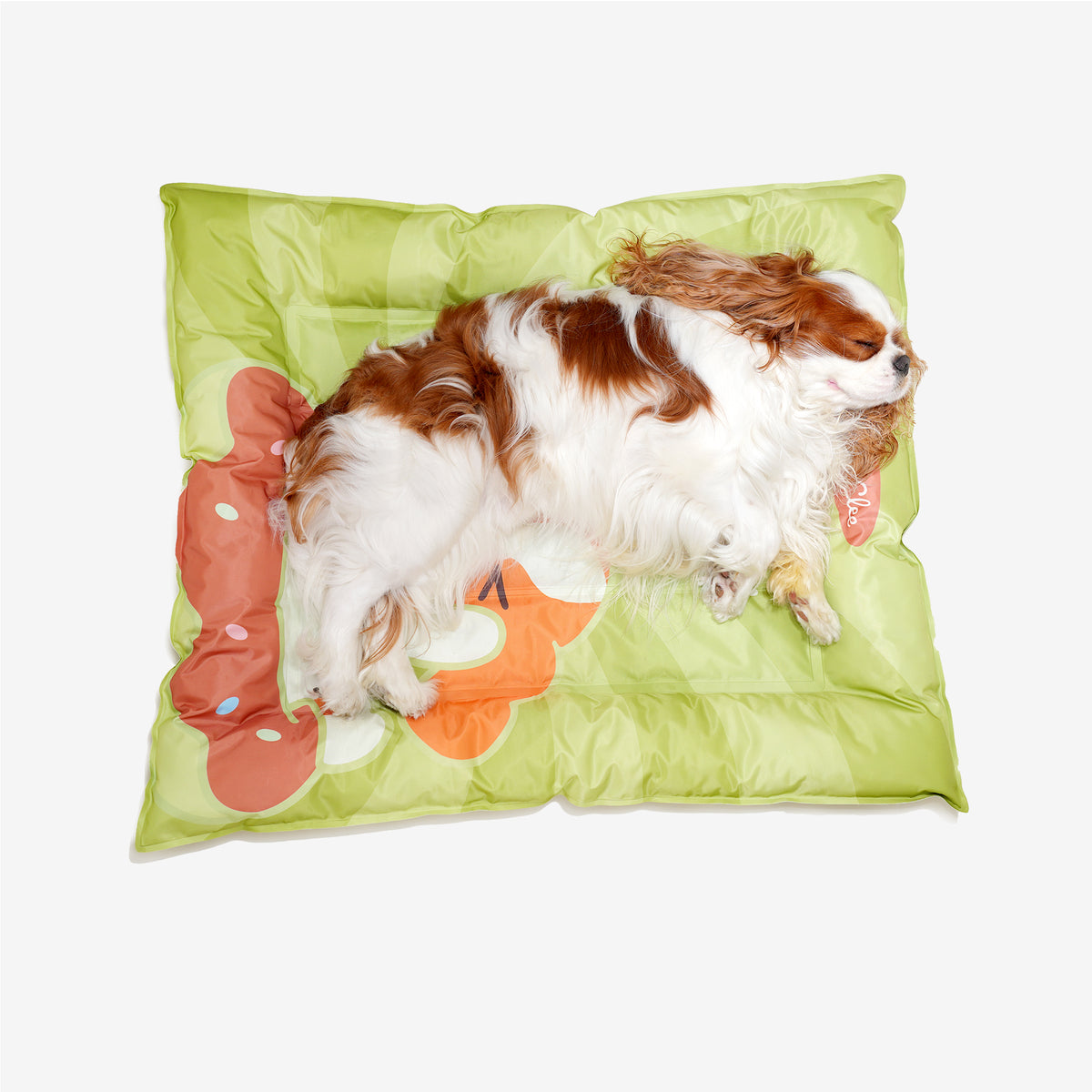 Spaniel resting on the green cooling dog bed