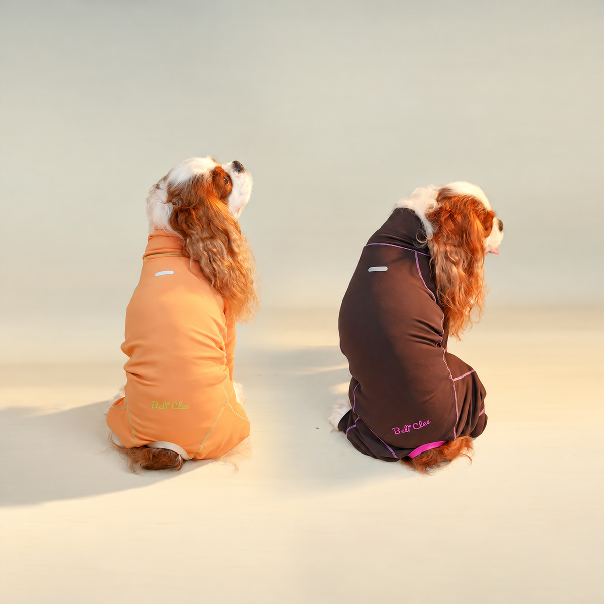 Back view of orange and brown four-leg dog jumpsuits