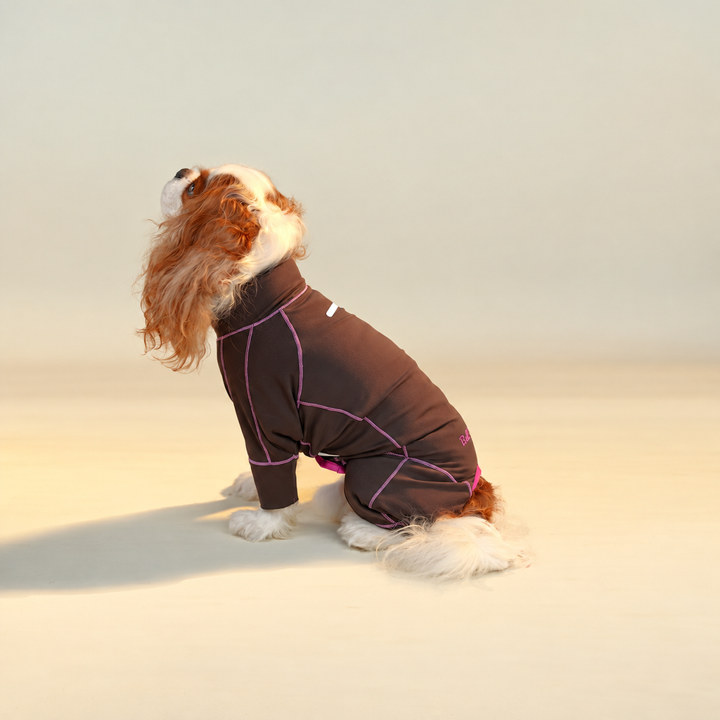 Brown dog jumpsuit with pink contrast seams