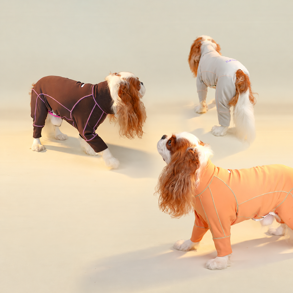 Three dogs wearing Beli Clee autumn/winter jumpsuits in orange, brown and gray
