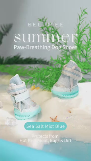 Beli Clee 海盐雾蓝 dog shoe product video