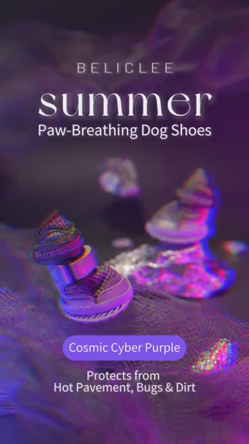 Beli Clee 星际紫 dog shoe product video