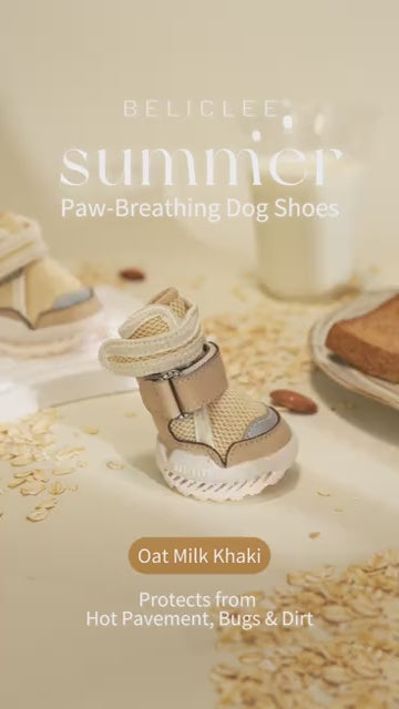Beli Clee 燕麦卡其 dog shoe product video